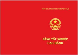 bằng cao đẳng trung cấp làm gì tốt