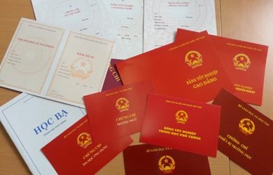 Thất nghiệp vì không có bằng cấp