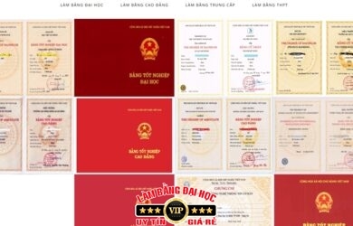 cach kiem tra bang dai hoc that hay gia