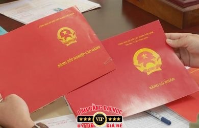 so hieu bang tot nghiep la gi