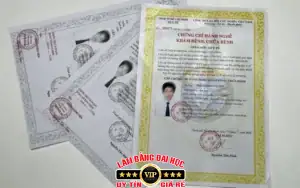 mua chung chi nghe hop phap bao xin viec